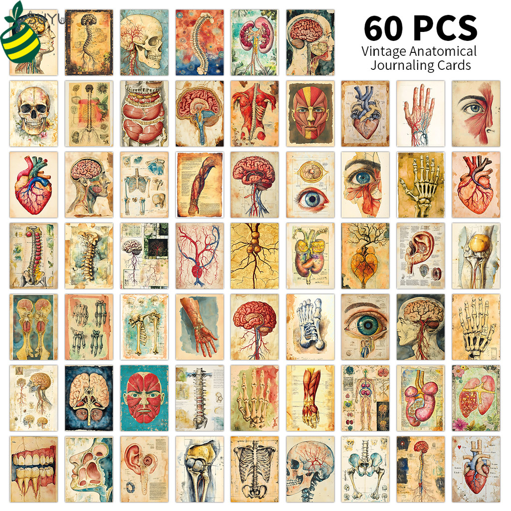 60ชิ้นวินเทจกายวิภาคศาสตร์ศิลปะการ์ดชุด,อวัยวะร่างกายมนุษย์และโครงกระดูกภาพประกอบการ์ด,ย้อนยุคทางการแพทย์กายวิภาคศาสตร์แฟลชการ์ดสําหรับการศึกษา,ศิลปะตกแต่ง,สมุด,วารสาร,ของขวั