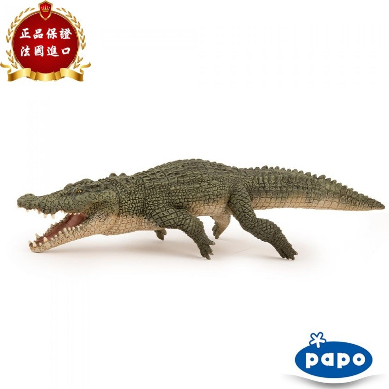 PAPO France 2025 จระเข้น้ําเค็ม Bay Crocodile Wildlife รุ่นของเล่นเด็ก 50324