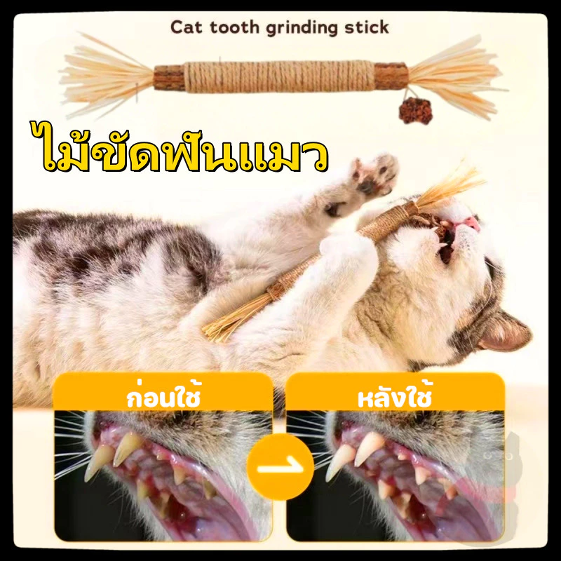 ของเล่นแมว ไม้แมวเมา ของเล่นทำความสะอาดฟันแมว หวายทำความสะอาดฟัน ลดคราบหินปูน กัญชาแมว ขนาดเหมาะกับแมวมากที่สุด