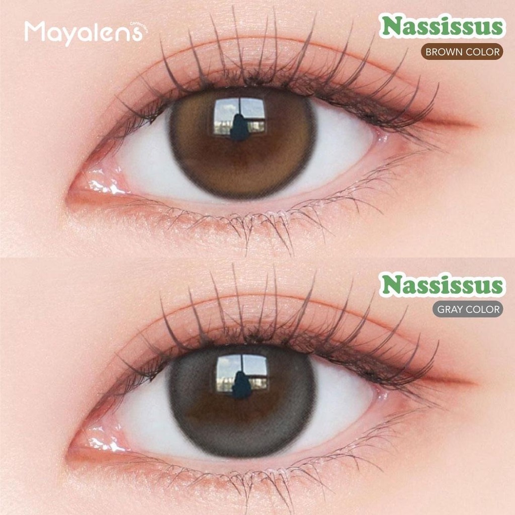 💋 Nassissus สายตา0.00 ถึง -5.00 Maya Premium lens  ซิลิโคน ไฮโดรเจล คอนแทคเลนส์