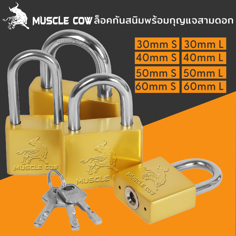 MUSCLE COW แม่กุญแจสีทอง พร้อมลูกกุญแจ 3 ดอก ล็อคแขวนและล็อคประตู ขนาด 30mm, 40mm, 50mm, 60mm แบบยาวและสั้น