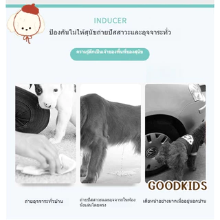 สเปรย์ฝึกขับถ่ายสุนัข น้ำยานำทางขับถ่าย กำหนดจุดฉี่/อึ ป้องกันสุนัขฉี่มั่ว อุปกรณ์ฝึกสุนัข