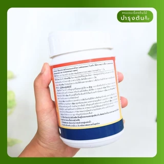 คาร์เบนดาซิม – ตราช้างดาซิม – Carbendazim – สารป้องกันและกำจัดโรคพืช (เชื้อรา)