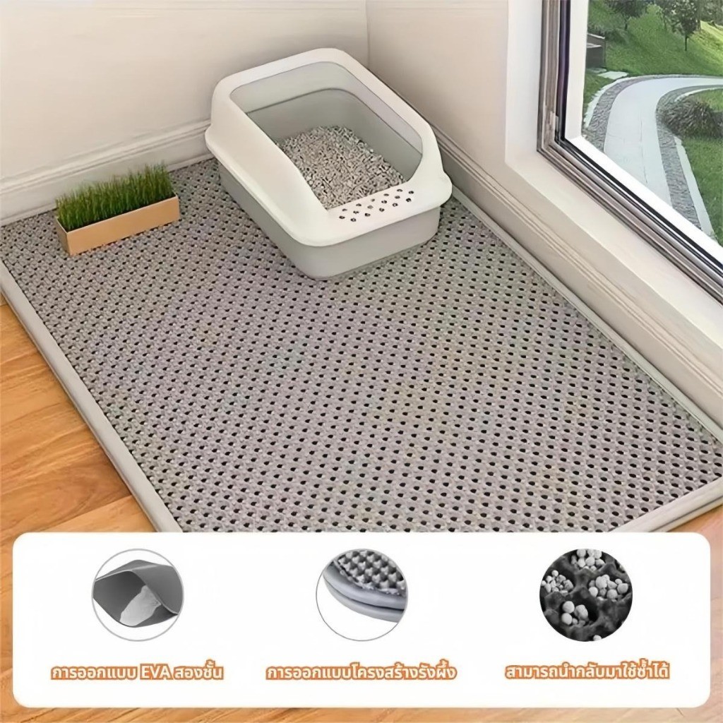 รูปภาพ 9