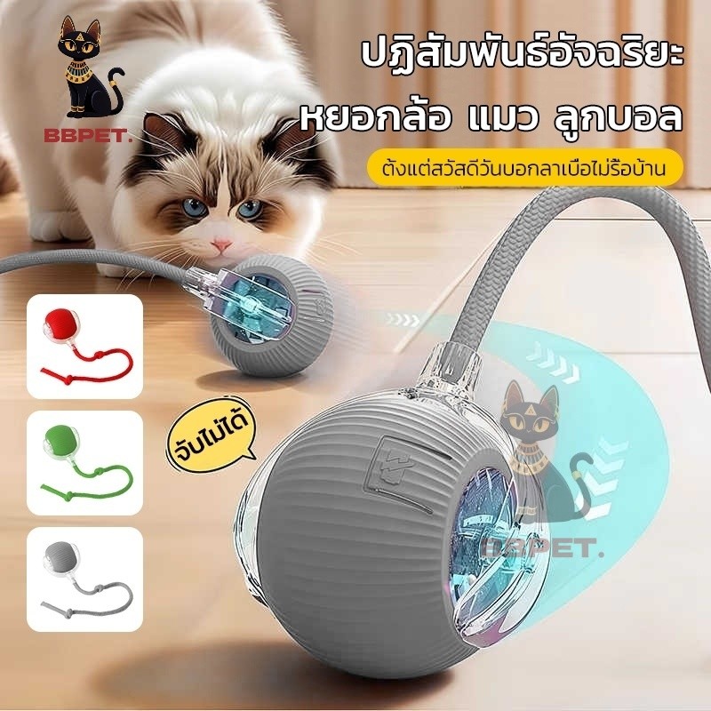 ของเล่นแมว ลูกบอลหมุนอัตโนมัติ โต้ตอบกับแมว สุนัข มีสายชาร์จ แข็งแรงทนทาน ของเล่นแมวเบื่อ ของเล่นลดความอ้วนแมว