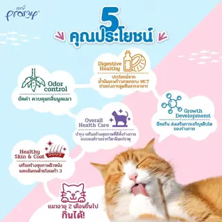 [ยกลัง48ซอง] Pramy อาหารเปียกแมวพรามี่ ส่งทุกวัน(คละรสชาติได้)