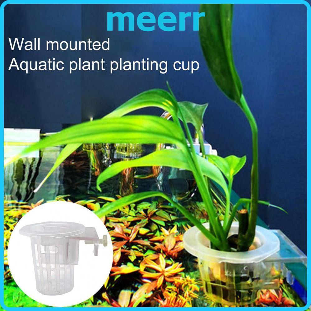 MEERR 2 ชิ้นแขวน Aquarium ผู้ถือพืช, ABS Aquascape ตกแต่งถังปลา Planter ถ้วย,พร้อมรูปรับ Hydroponic 
