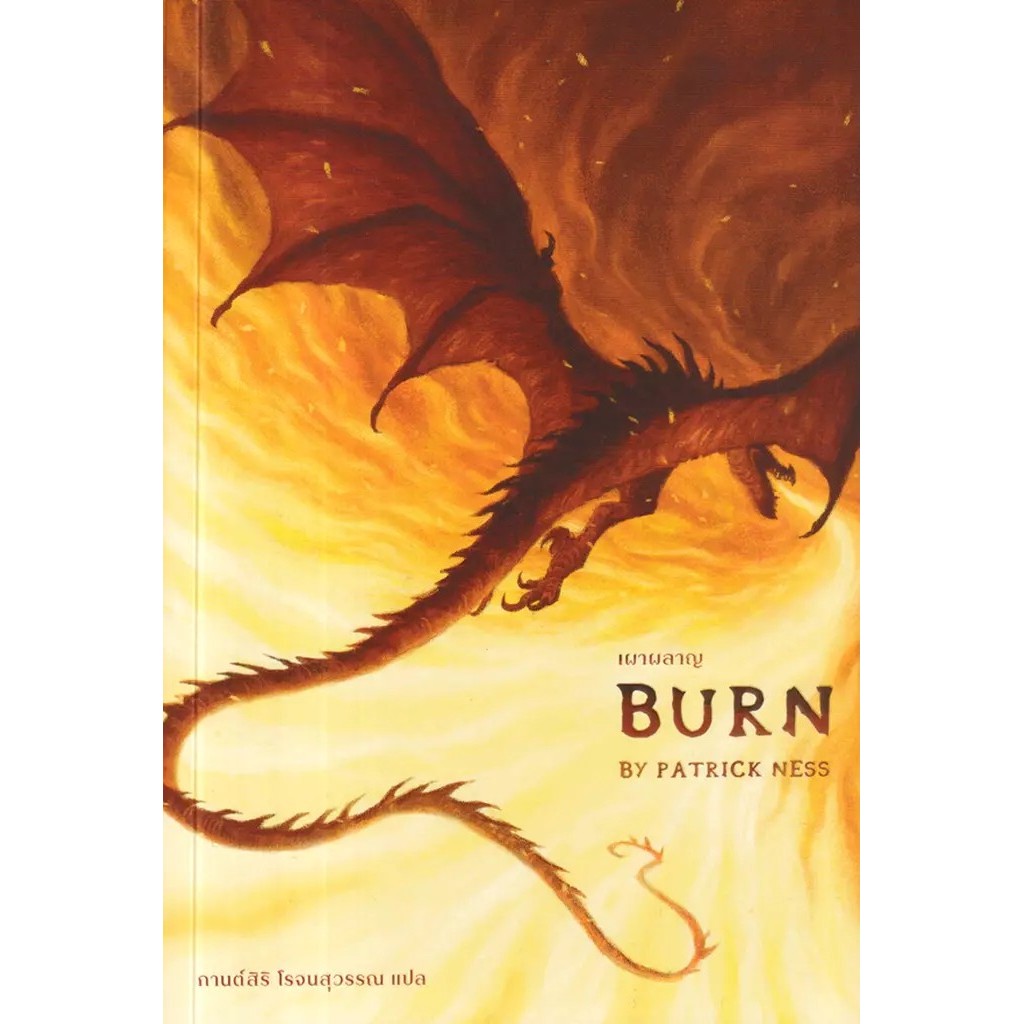 Bundanjai (หนังสือ) เผาผลาญ Burn