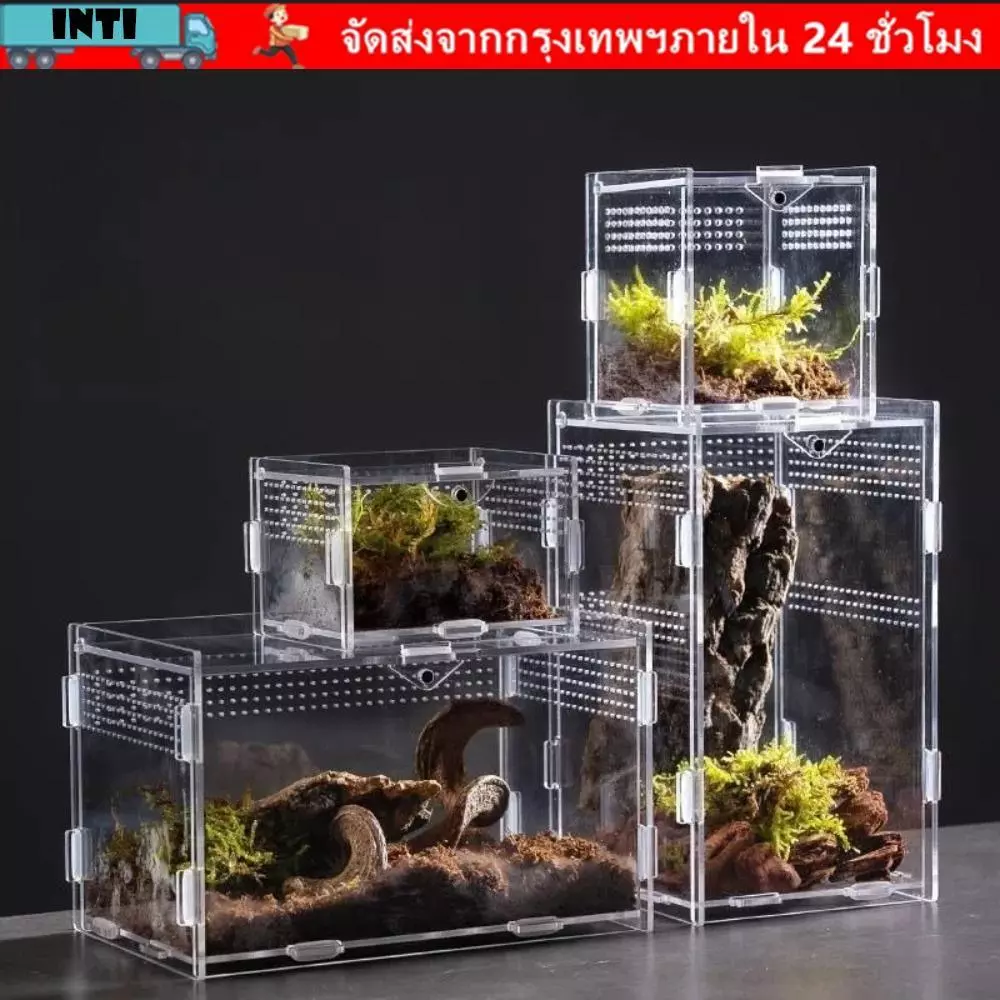 กล่องเพาะพันธุ์จิ้งจก ข้อมูล, อะคริลิคป้องกันการหลบหนีสัตว์เลื้อยคลานที่อยู่อาศัยหลายขนาดให้อาหารแมงมุมอาร์เบอร์รีสําหรับกิ้งก่า