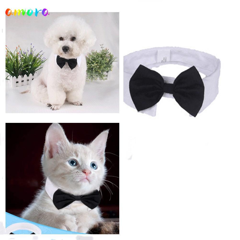 AMORA Cat Tuxedo Collar ปรับชุด Grooming อุปกรณ์เสริมลูกสุนัขสัตว์เลี้ยงอย่างเป็นทางการ Tuxedo