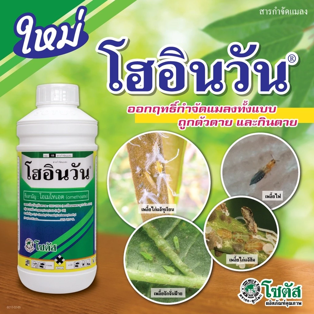 โฮอินวัน 1ลิตร โอเมโทเอต ยาน็อค เหม็น ยาดูดซึม ไก่แจ้ เพลี้ยจักจั่น เพลี้ยหอย เพลี้ยแป้ง เพลี้ยอ่อน