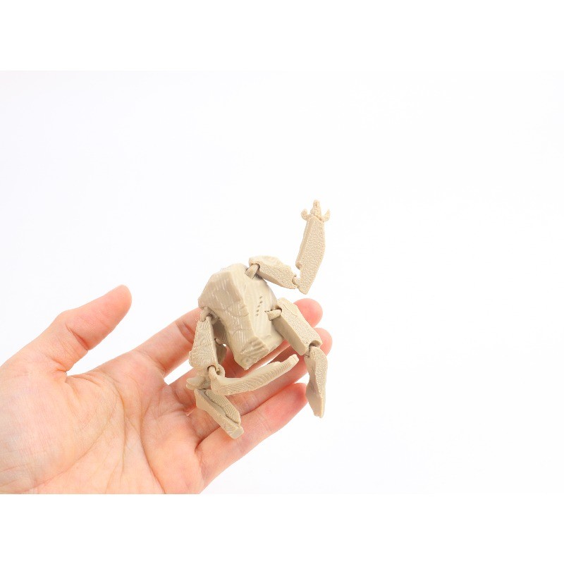 Project Hail Mary Rocky Action Figure ของเล่น 3D Rocky พวงกุญแจ Pendent เครื่องประดับ ราคา ถูกที่สุด ดีลบีเคเค แกลเลอรีภาพที่ 7
