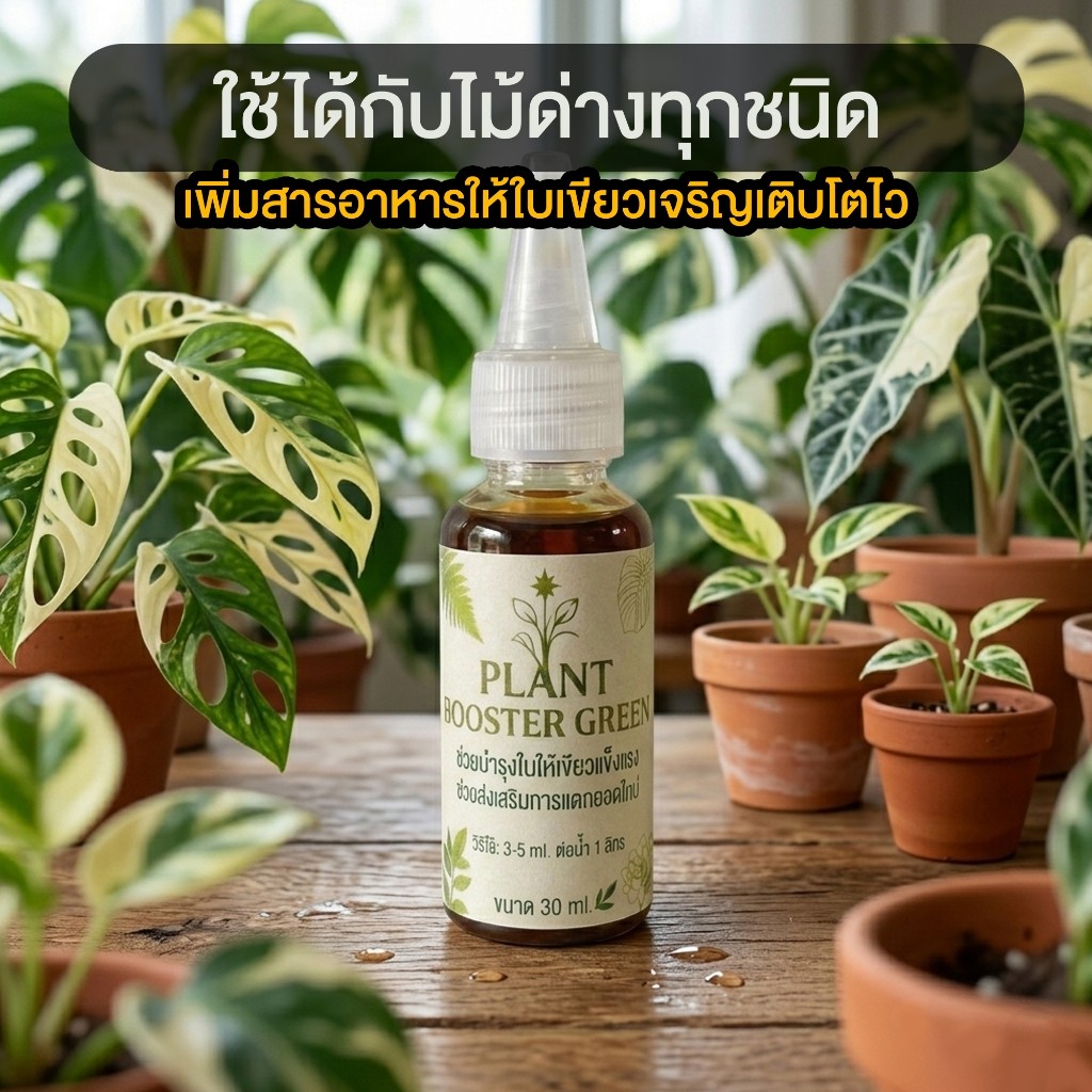 อาหารเสริมพืช Plant Booster Green ช่วยให้ใบเขียว แตกยอดใหม่ เร่งราก ปุ๋ยไม้ดอก ปุ๋ยไม้ใบ ปุ๋ยน้ำ