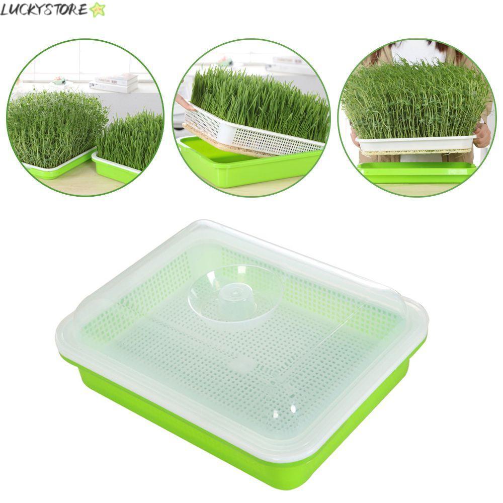 LUCKYSTORE Grow Nursery Pots Gardening Supplies ถาด Hydroponic Nursery Paper Plant Box
