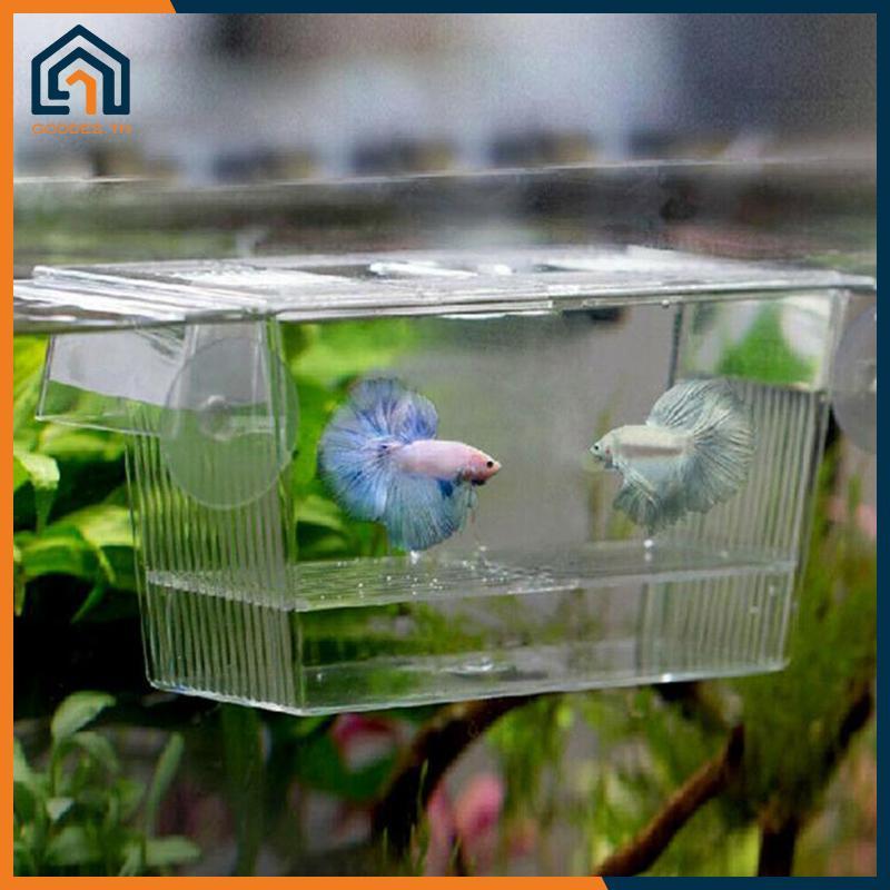 Goddes Aquarium Fish Tank Guppy Double Breeding Breeder Rearing Trap Box Hatchery TH