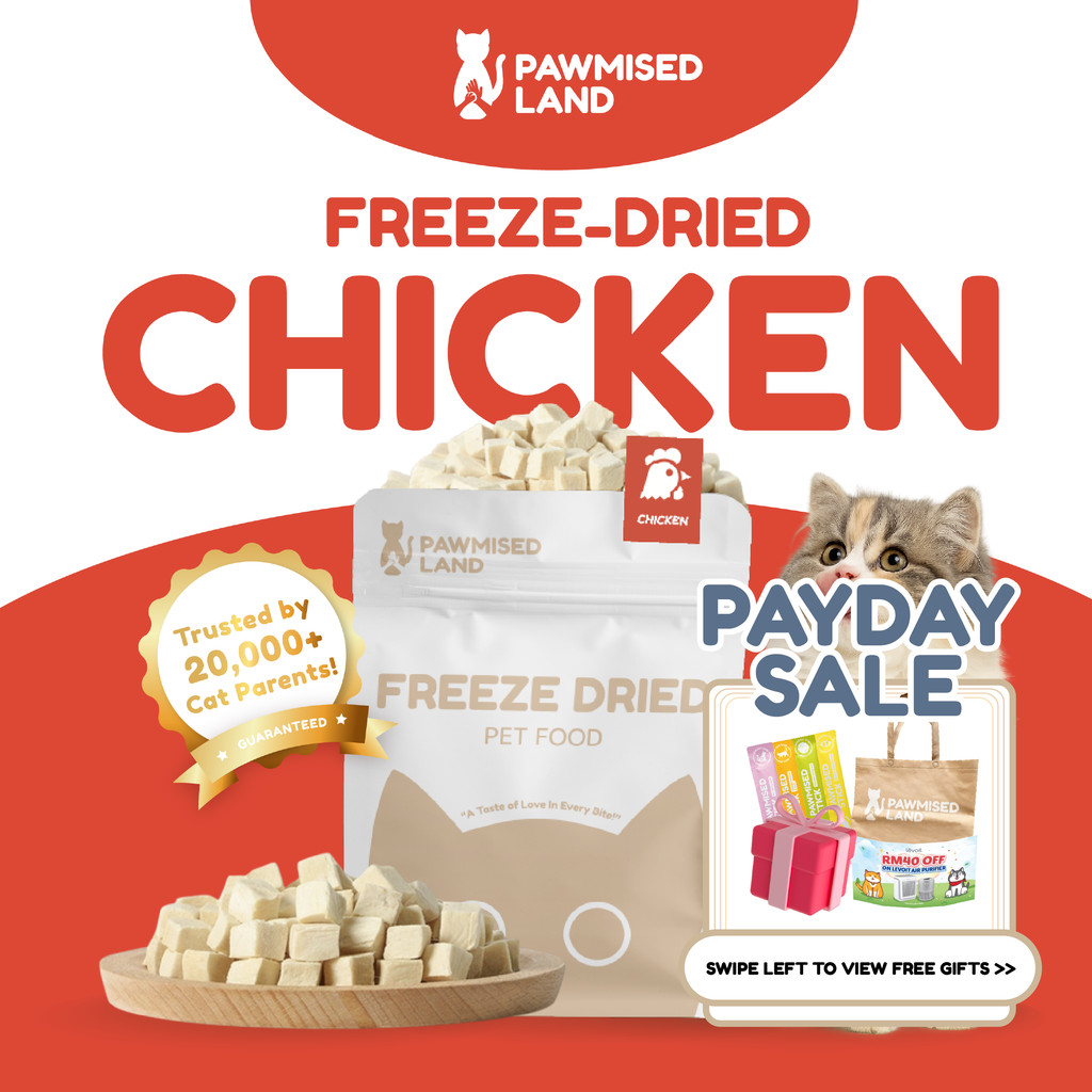 PawmisedLand Catty Munchies - Chicken Freeze Dry 125g/375g Premium Treats อาหารแมว Makan Kucing