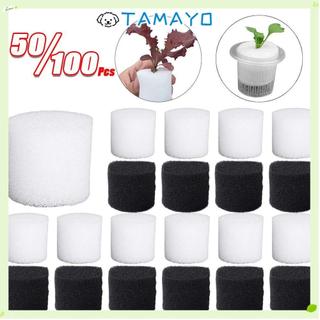 TAMAYO 50/100 ชิ้นฟองน้ํา Hydroponic, ฟองน้ําปลูก Soilless Hydroponic Nursery Sponge, รอบผักดอกไม้ถาดต้นกล้า