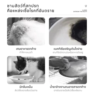 Doge&Orange มูสทำความสะอาดชามสัตว์เลี้ยง โฟมล้างจานสำหรับสัตว์เลี้ยง ขจัดคราบมัน สูตรอ่อนโยน สกัดจากพืชธรรมชาติ PU239
