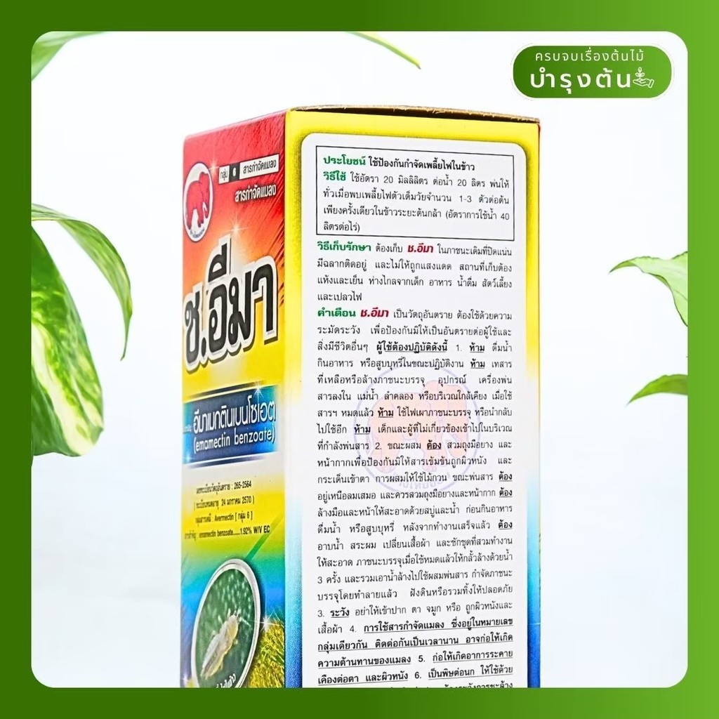 มุมมอง 2