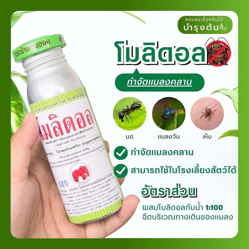 โมลิดอล – ไซเพอร์เมทริน – Cypermethrin – กำจัดเพลี้ย หนอน แมลงปากกัด แมลงดูด