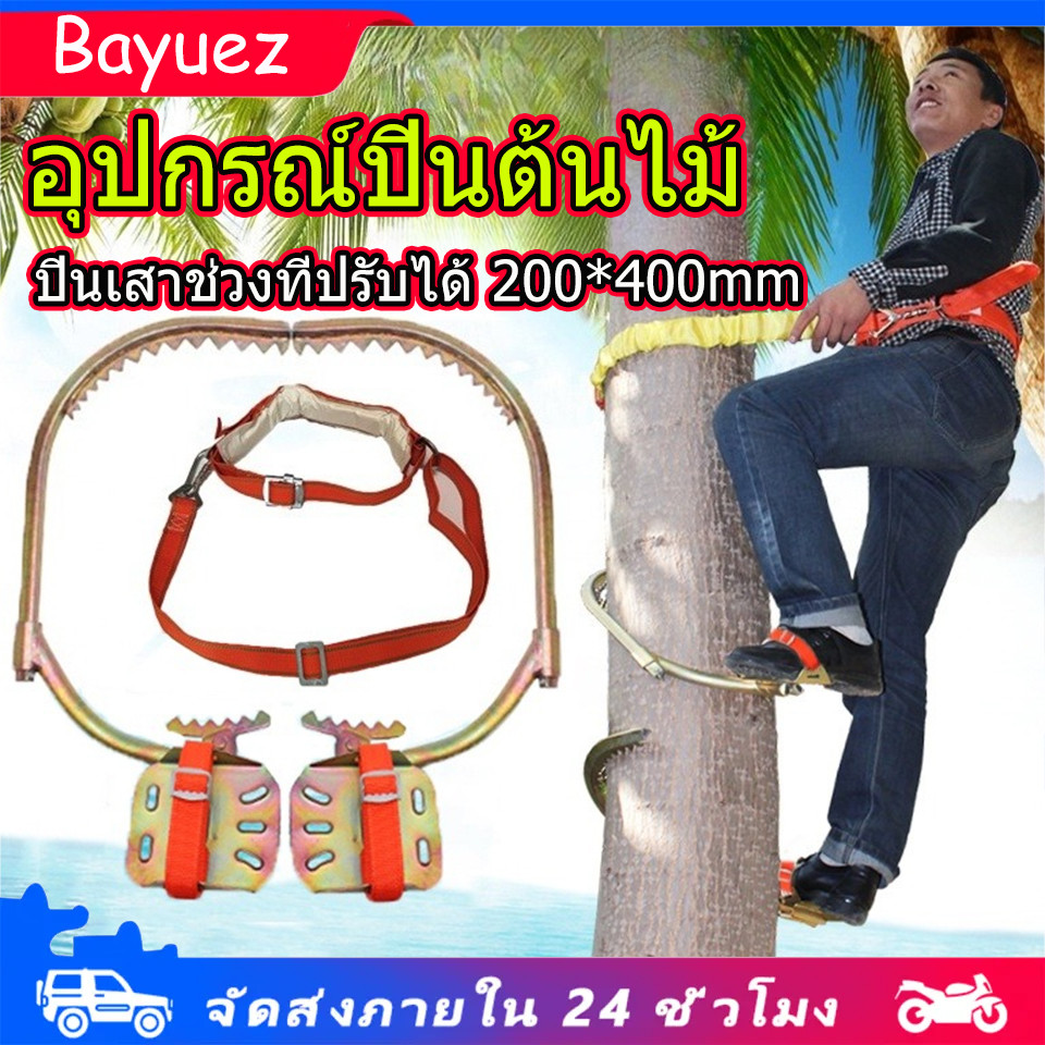 อุปกรณ์ปีนต้นไม้ เครื่องมือปีนต้นไม้ รองเท้าปีนต้นไม้ เครื่องมือปีนต้นไม้เครื่องมือปีนเสา นิรภัย
