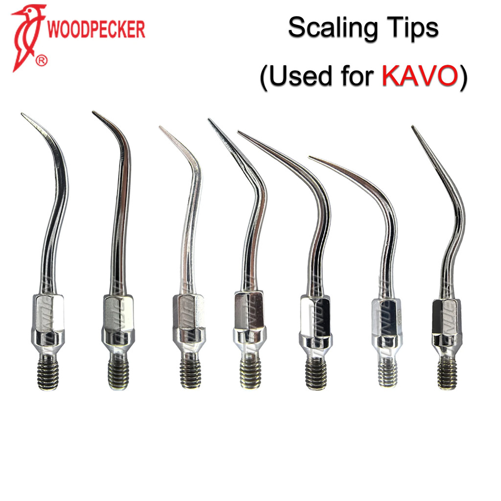Ultrasonic Scaler เคล็ดลับ Scaling Tip Fit KAVO GK1 GK2 GK3 GK4 GK5 GK6 GK7