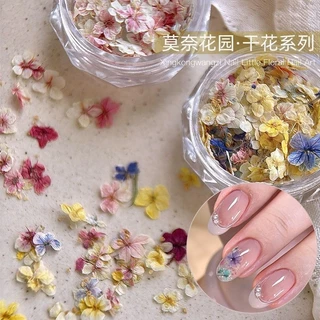 30แต่งเล็บดอกไม้แห้ง Monet Garden ประณีตห้ากลีบ วัสดุตกแต่งเล็บขนาดเล็ก