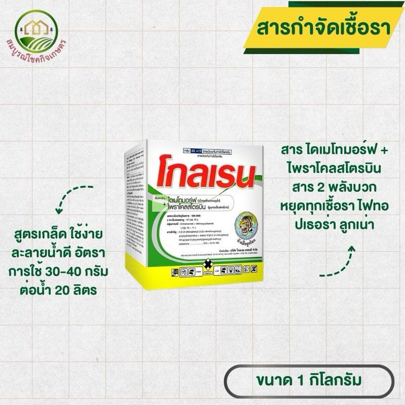 โกลเรน ขนาด 1 กก สาร 2 พลังบวก ป้องกันเชื้อรา หยุดไฟทอปเธอร่า ลูกเน่า ผลเน่าในทุเรียน ใบขีดโปร่งแสง ราน้ำค้างในพืชล้มลุก