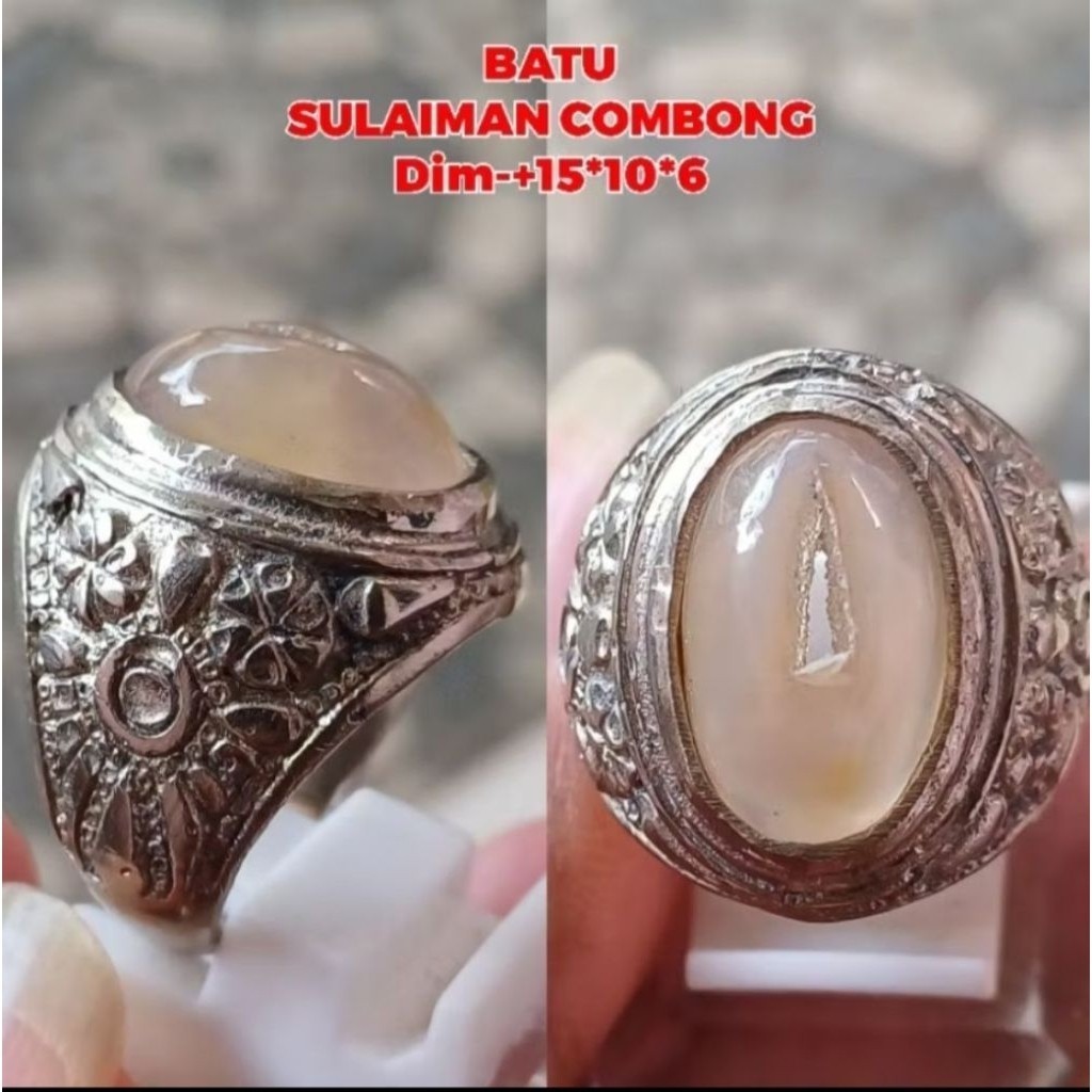 โมราครอบครองสีขาวของ Solomon