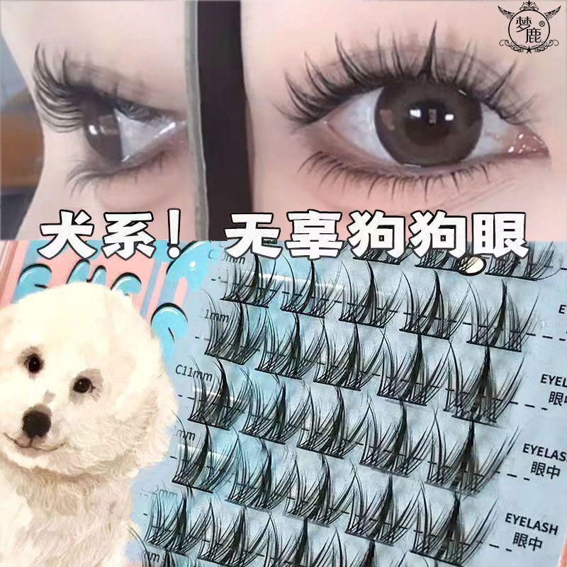 A New Product[Cumulative Hot Sale5000Ten thousand+Pieces]Dream Deer Innocent Dog Eye False Eyelashes