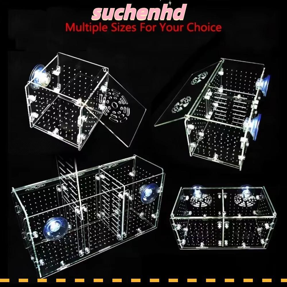 SUCHENHD 1PC กล่องแยกตู้ปลา,โปร่งใส Hatchery Divider กล่องเพาะพันธุ์ปลา, ฟักทอดขนาดเล็กพร้อมตะขอ Breeder Hatching Incubator การใช้ตู้ปลา