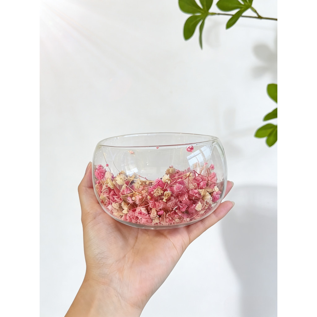 [Island Story] ชามแก้วดอกไม้แห้ง Gypsophila สองชั้น | ชามขนมป้องกันการกระเด็นฉนวนกันความร้อนสองชั้น 