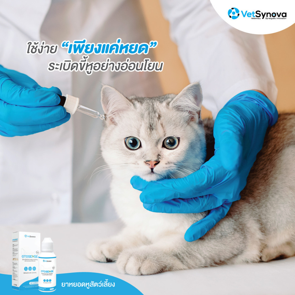 Otosense น้ำยาล้างหู กำจัดไรในหู ทำความสะอาดหู ละลายขี้หู รูปที่ 8