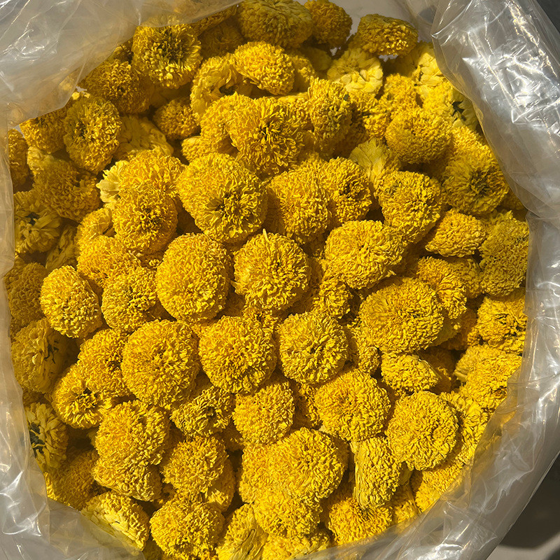 [Hui Wudi] พรีเมี่ยม Huizhou Huangju Huangyuan Huangju พร้อมสต็อกหลายผลิตภัณฑ์การประมวลผลแบบกําหนดเอ