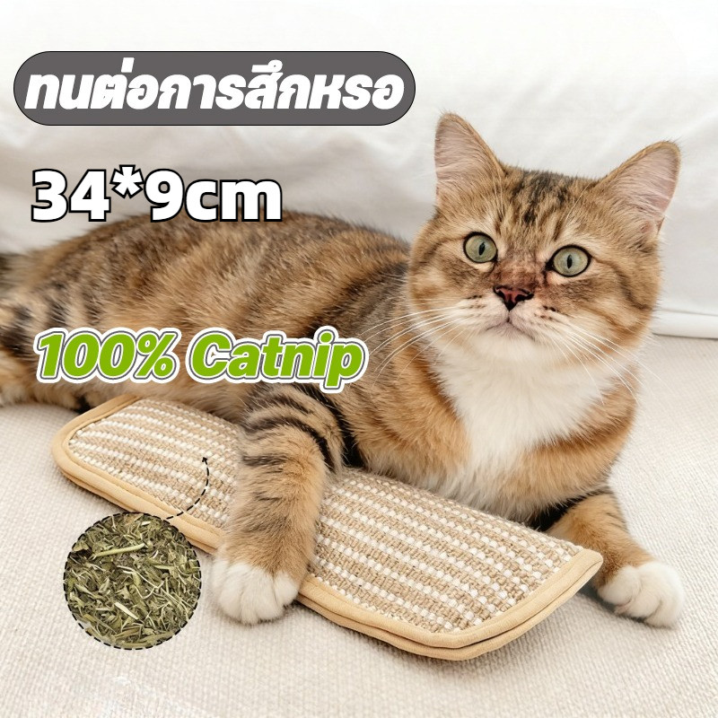 100% Catnip หมอนแมว กัญชาแมวแท้ หมอนสมุนไพรแมวแท้ หมอนสัตว์เลี้ยง ทนต่อการสึกหรอ