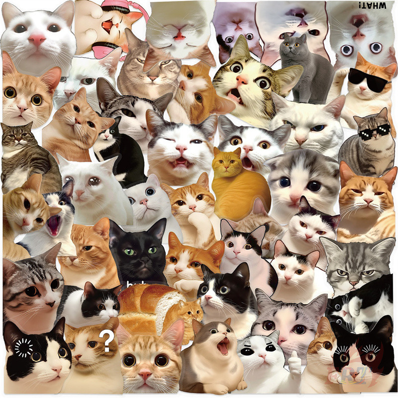 ❉ สัตว์เลี้ยง มีม . Q Funny Cats Emoji Series 02 สติ๊กเกอร์ PET ❉ 50 ชิ้น/เซ็ต DIY กันน้ําแฟชั่น Decals สติ๊กเกอร์ Doodle