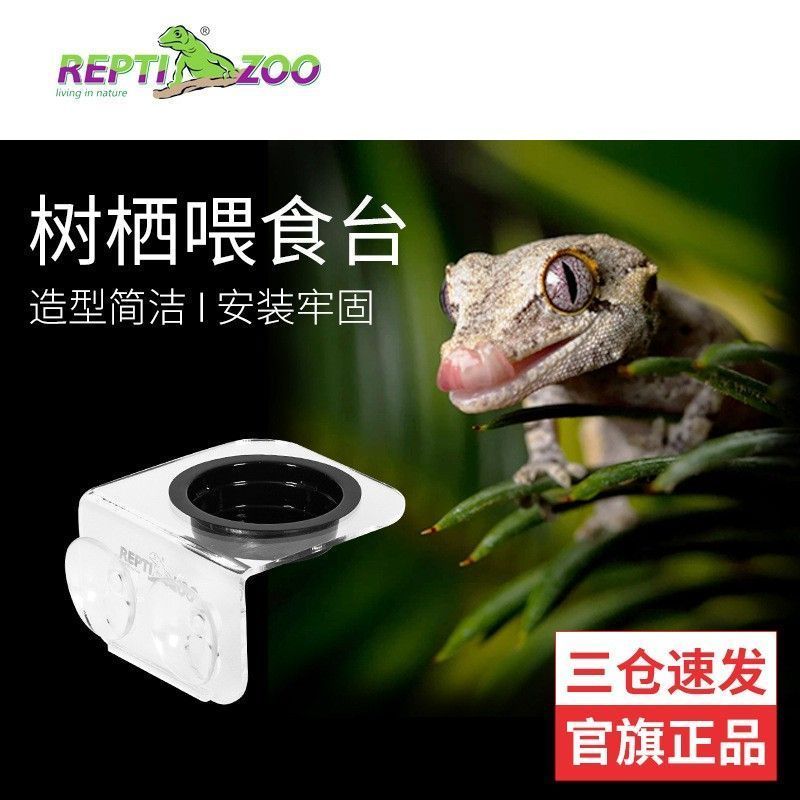 Reptizoo Reptizoo สัตว์เลื้อยคลานน้ําอ่างล้างหน้าอาหาร Arboreal Eyelashes Daily Travel Gecko Feeding