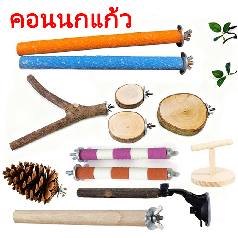 คอนลับเล็บ คอนนกแก้ว คอนกระรอก ชูก้า คอนนกใหญ่ คอนสำหรับนกแก้ว คอนนกแก้ว ไม้ธรรมชาติ100%