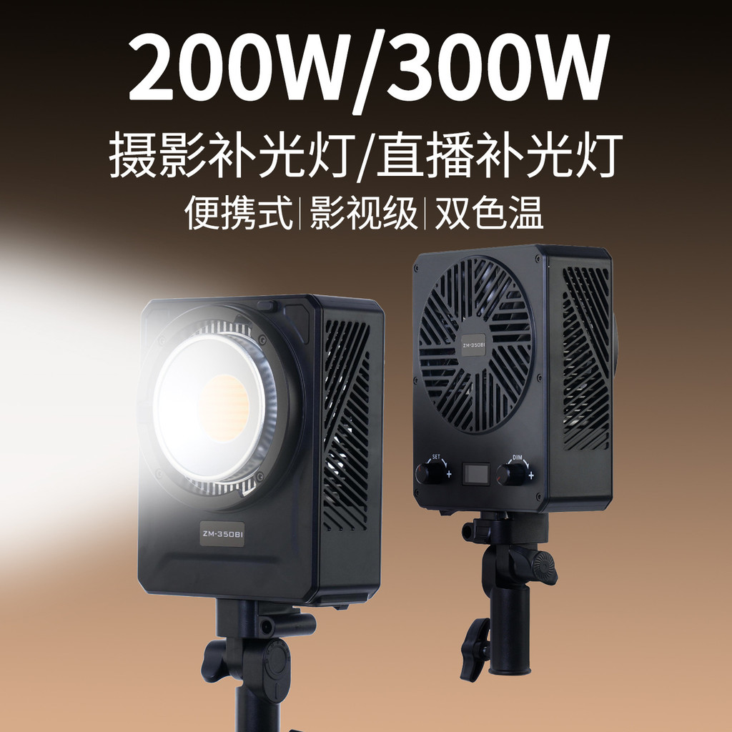 ZM-350สอง 300ว ไฟไลฟ์สดภาพการถ่ายภาพแสงอ่อนสมอความงามแสงอ่อนสตูดิโอในร่มเติมแสงคุณภาพสูง