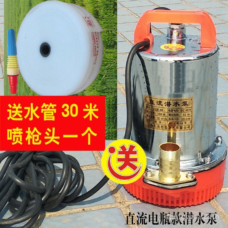 DC แบตเตอรี่รถยนต์ไฟฟ้าปั๊มจุ่ม 12V48V60 แรงดันไฟฟ้ารดน้ํา Place ปั๊มน้ํา Deep Well ปั๊มการเกษตรขนาด