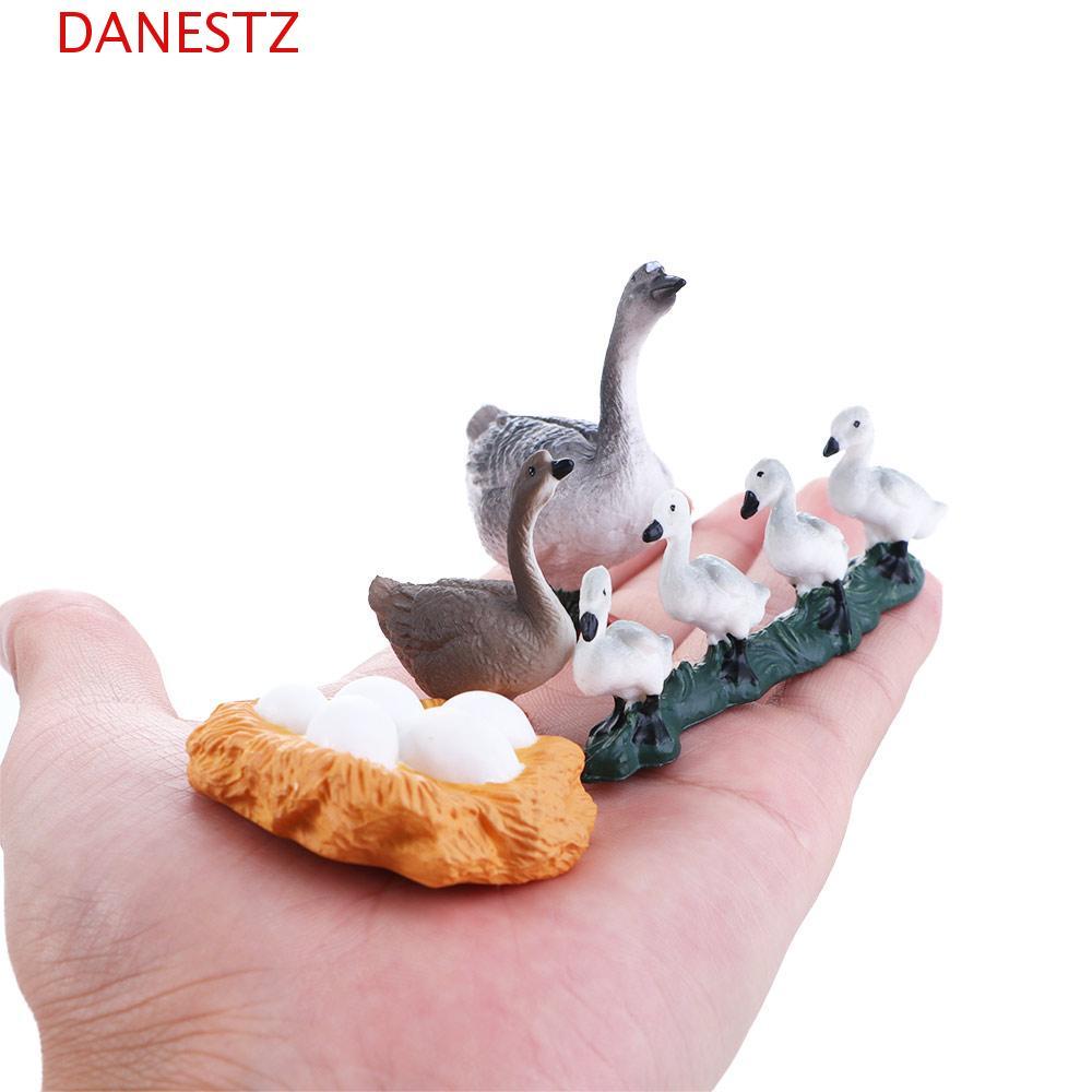 DANESTZ Life Cycle Figures Science Kids Swan Model Hen Cock สัตว์ปีก Growth Cycle ห่านขาว