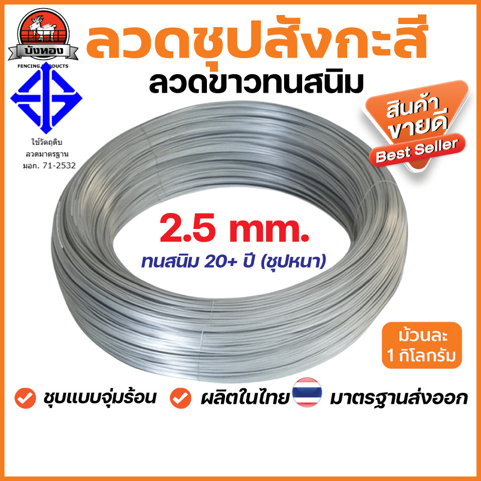 ลวดชุบสังกะสี 2.5mm ลวดขาว 1กก. ลวดทนสนิม ชุบหนา ใช้นาน 20+ปี