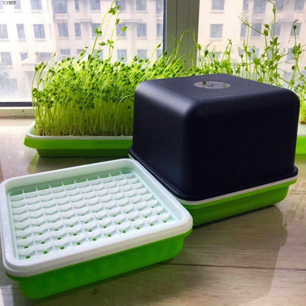 CYBER ถาดเพาะกล้ามัลติฟังก์ชั่น Ease To Clean Peanut Garlic Hydroponic Soilless Water Cultivation Ga