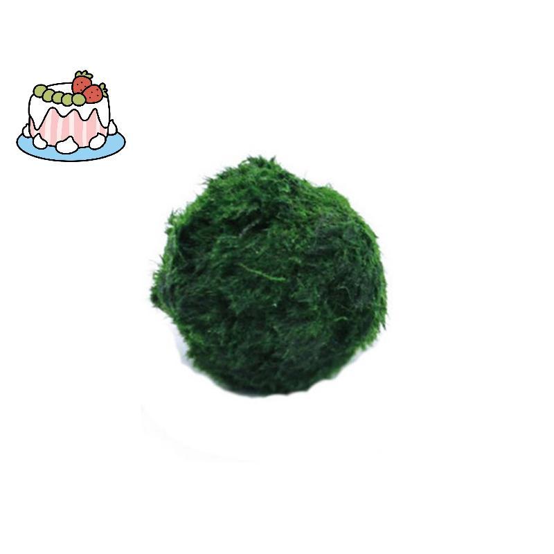 [Sep-t] 3-4 ซม. Marimo Moss Balls Live Aquarium พืชสาหร่ายปลากุ้งถังเครื่องประดับจําลองลูกบอลสาหร่าย