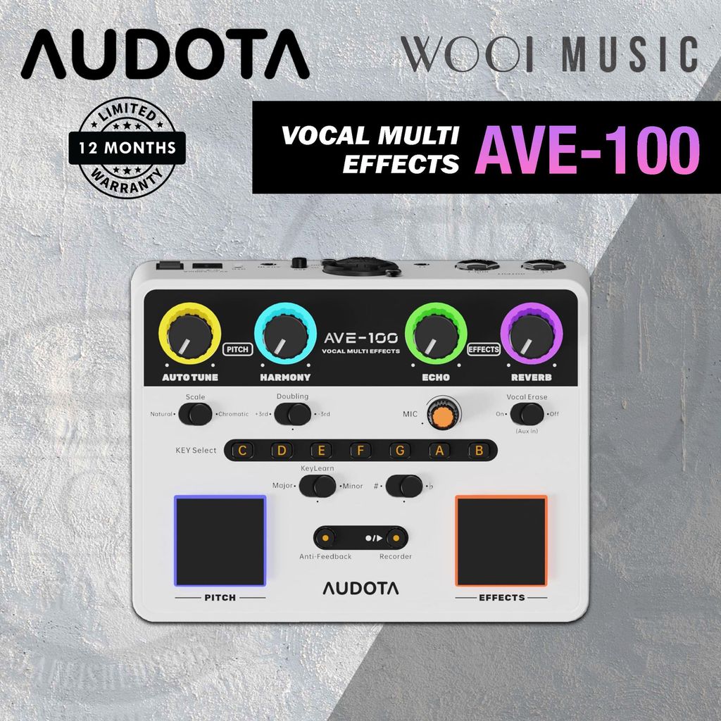 โปรเซสเซอร์ Audota AVE-100 Vocal Multi Effects [การแก้ไขอาการคัน, Harmony, Reverb & Echo]