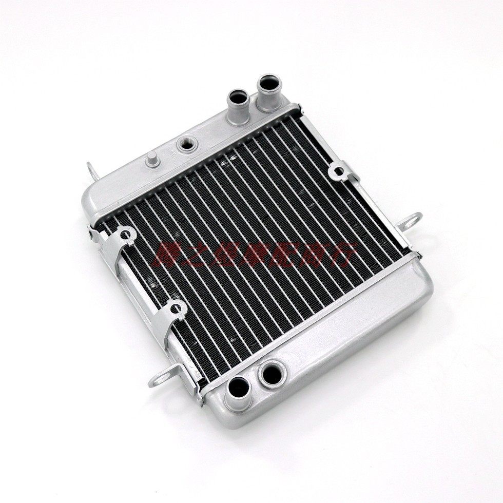 เหมาะสําหรับ Honda NSS250 PS250 Fosha 250 01-07 ชุดฝาครอบถังน้ําหม้อน้ําเครื่องทําน้ําเย็น