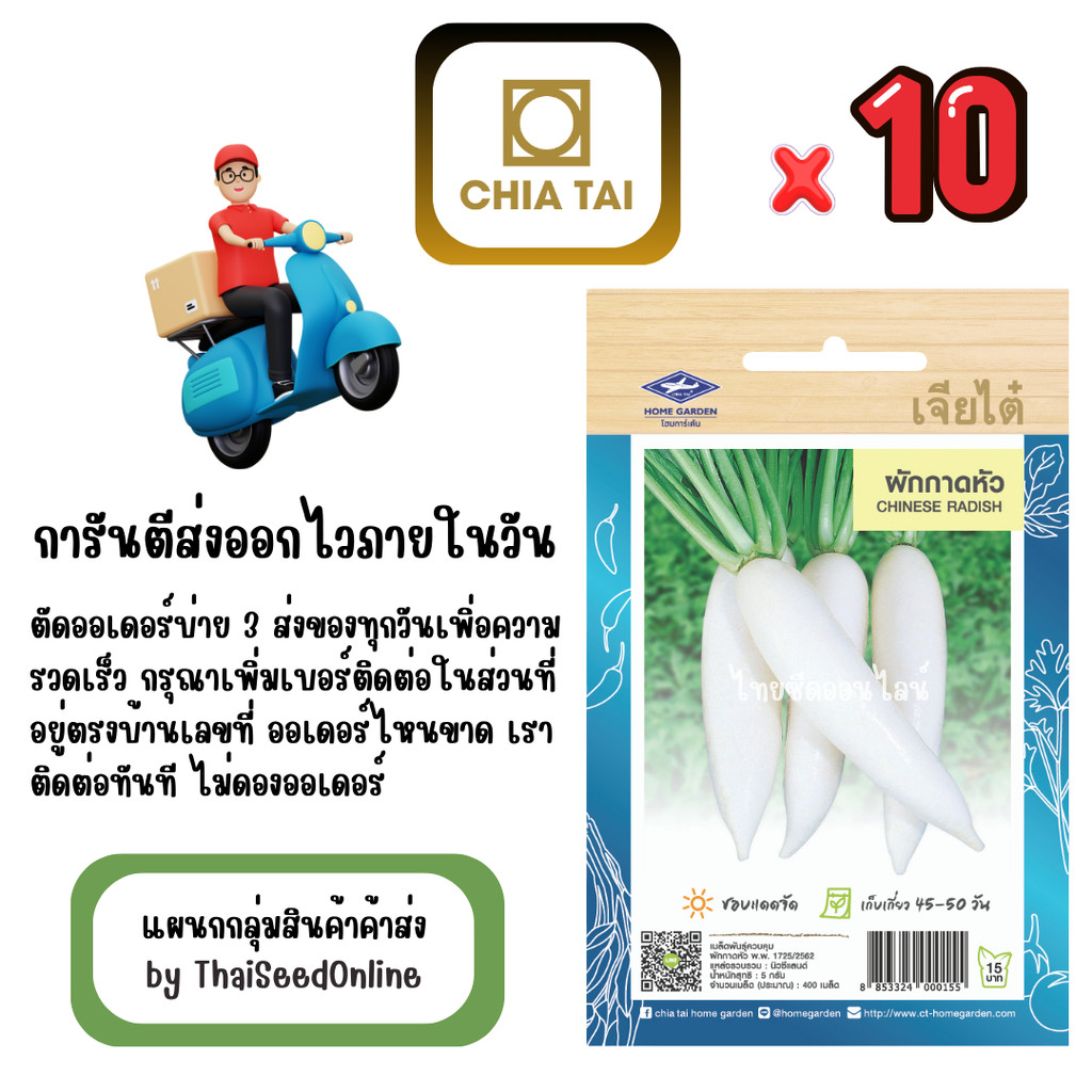 เจียไต๋ CTOP x 10 เมล็ดผักซองเจียไต๋ ผักกาดหัว หัวไชเท้า สินค้ายกแพ็ค