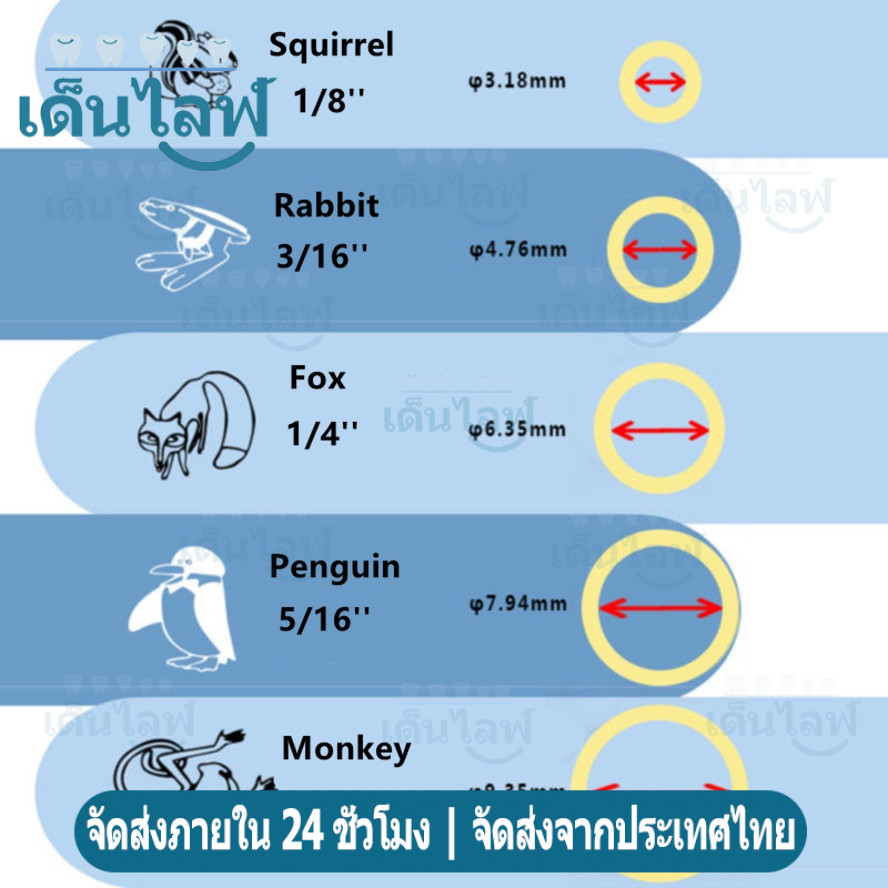 ยางยืดรัดผม ขนาด 3.5 ออนซ์ บรรจุ 500 ชิ้น Elastics Rubber Bands - รูปที่ 2