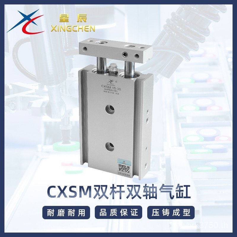 10 * CXSM กระบอก 3215/10/Star 20 ~ TR6 Double Rod 100// แกนคู่ขนาดเล็ก 25// D2K0