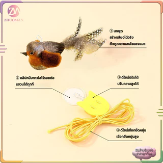 ของเล่นแมว นกปลอม ของเล่นแมวแบบโต้ตอบ ไม้ตกแมว ของเล่นนกจำลองเสียงร้อง รูปนกตลก มีเสียง ของเล่นสัตว์เลี้ยง